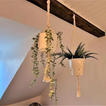 Liebenswertes Apartment 10 Minuten Zur Altstadt Coblence Extérieur photo
